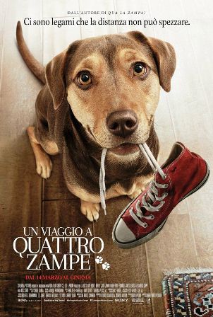 trama del film